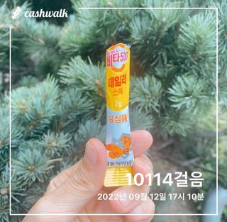 광동생활건강 [광동] 비타 500 데일리 스틱 VB, VC를 함유한 멀티비타민 30포+30포 — 5점을 준 리뷰어가 2022년 10월 올린 사용 사진
