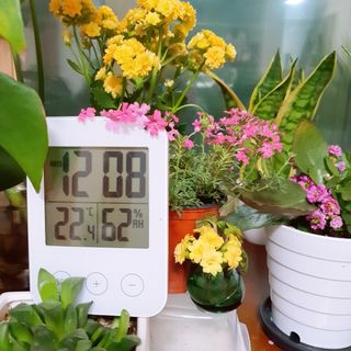 0.8L 마케팅팀 - — 5점을 준 리뷰어가 2021년 5월 올린 사용 사진