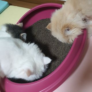 동주맘님이 올린 리뷰 사진 4