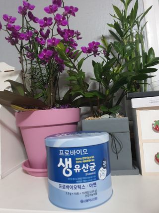 서울약사신협_프로바이오생유산균_2.5G x 100포 — 5점을 준 리뷰어가 2021년 5월 올린 사용 사진
