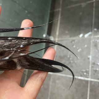 라로지크 X4 스케일링 퍼퓸 샴푸 1,000mℓ — 5점을 준 리뷰어가 2021년 12월 올린 사용 사진