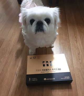페키아름님이 올린 리뷰 사진 3