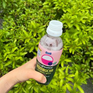 더그레잇티 콤부차 [매일유업] 더그레잇티 44kcal 콤부차 300ml *12개입 (오리지널 6개+베리리치 6개) — 4점을 준 리뷰어가 2023년 7월 올린 사용 사진