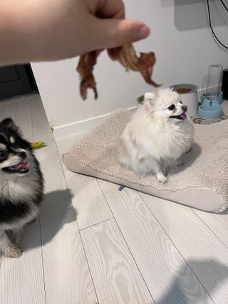 ovely님이 올린 리뷰 사진 2