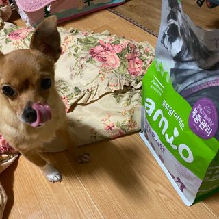 도치님이 올린 리뷰 사진 2