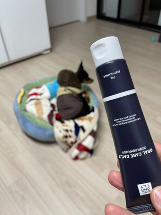 코코몰리 오랄케어 데일리 맛있게 건강한 반려동물 안심치약 — 5점을 준 리뷰어가 2021년 3월 올린 사용 사진