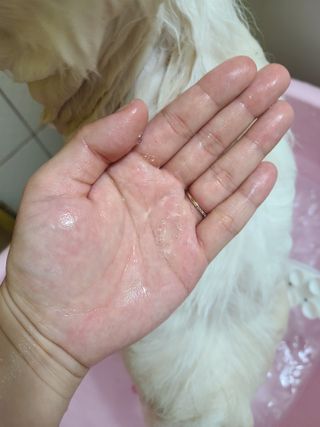 튼튼보이맘님이 올린 리뷰 사진 3