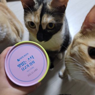 페페로니 맛있는 스틱 - 무항생제 닭고기 15개 + 원양선 참치 15개 — 5점을 준 리뷰어가 2021년 8월 올린 사용 사진