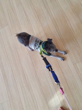 보미누나님이 올린 리뷰 사진 2