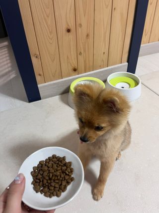 다영님이 올린 리뷰 사진 3