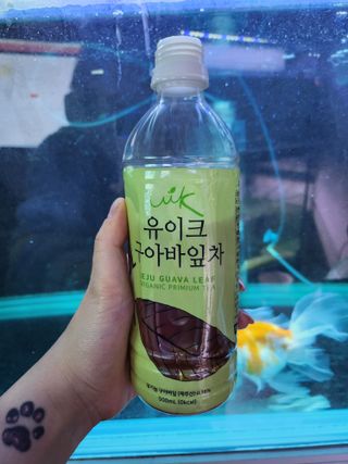 동이님이 올린 리뷰 사진 1