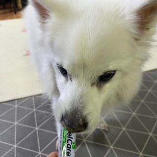 요하님이 올린 리뷰 사진 2
