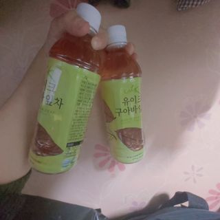 소담스퀘어 상암 제로카페인x제로칼로리 제주 유기농 유이크 구아바잎차 500ml x 6개입 (1박스) — 5점을 준 리뷰어가 2022년 11월 올린 사용 사진