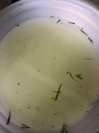 뽕순이님이 올린 리뷰 사진 4