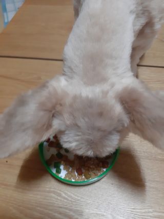 moomoon님이 올린 리뷰 사진 4