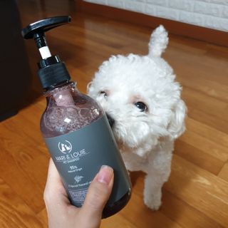 마리앤루이펫샴푸 [mari and louie pet shampoo] — 5점을 준 리뷰어가 2021년 6월 올린 사용 사진