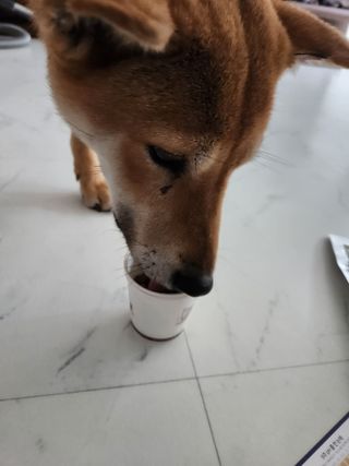 noname님이 올린 리뷰 사진 4