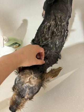 Wishwis0s님이 올린 리뷰 사진 2