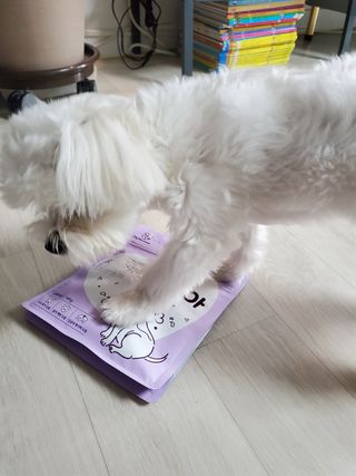 서성우님이 올린 리뷰 사진 1