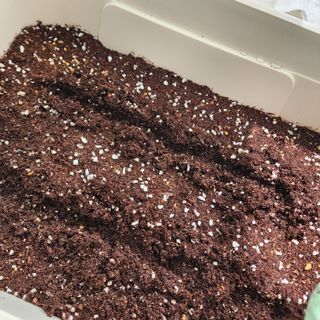 뷰리님이 올린 리뷰 사진 3