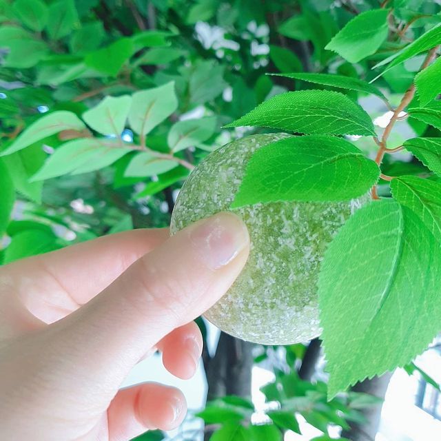 Arencia 아렌시아 고그린헤어 솔티소다 샴푸바 세트 리뷰 사진