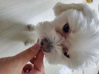 정꾸꾸님이 올린 리뷰 사진 3