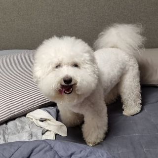 정민트님이 올린 리뷰 사진 3