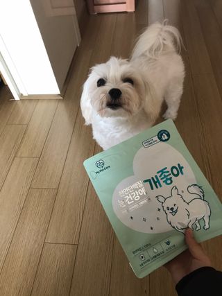 My Pet Care 천연단백질 눈건강에 개좋아 — 5점을 준 리뷰어가 2021년 3월 올린 사용 사진