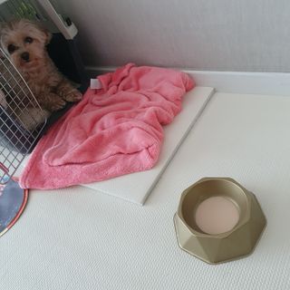 아코맘님이 올린 리뷰 사진 4