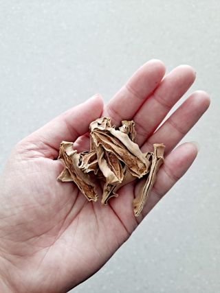 제라늄님이 올린 리뷰 사진 3