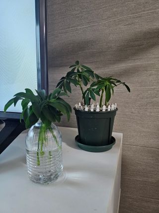 냐하하님이 올린 리뷰 사진 1