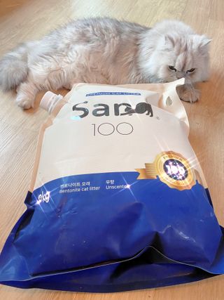 럽S하3님이 올린 리뷰 사진 2