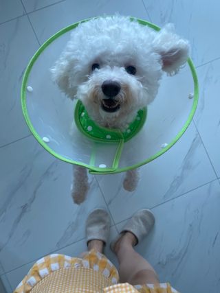 갱스님이 올린 리뷰 사진 4