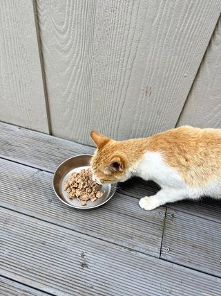 샐리님이 올린 리뷰 사진 2