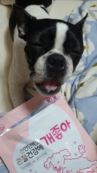 My Pet Care 천연단백질 관절건강에 개좋아 — 5점을 준 리뷰어가 2021년 3월 올린 사용 사진
