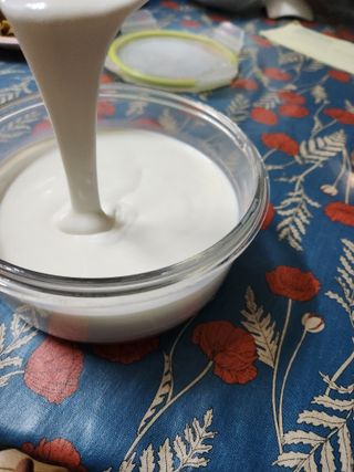하나마이 [BEST 판매율 1위] 카스피해 유산균 종균_발효기가 필요없이 간편하게 만들어 먹는 요거트 생유산균 — 4점을 준 리뷰어가 2023년 3월 올린 사용 사진