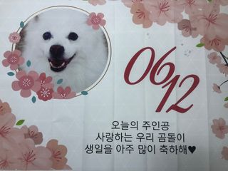 곰까님이 올린 리뷰 사진 1