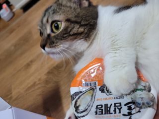 오남매맘님이 올린 리뷰 사진 1