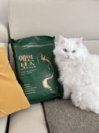 아이린지니님이 올린 리뷰 사진 2