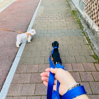 해바라기햇님님이 올린 리뷰 사진 2