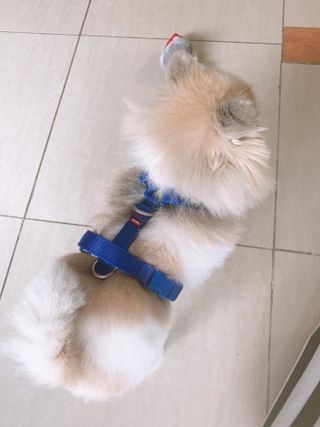 밍크마마님이 올린 리뷰 사진 2