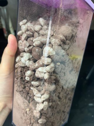 O_zl님이 올린 리뷰 사진 3