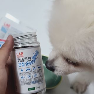 곰같은여우님이 올린 리뷰 사진 1