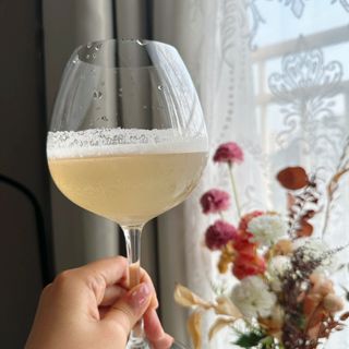 몽베스트 위드더 블랜딩 하우스 콤부차 _ 버라이어티팩 — 5점을 준 리뷰어가 2023년 6월 올린 사용 사진