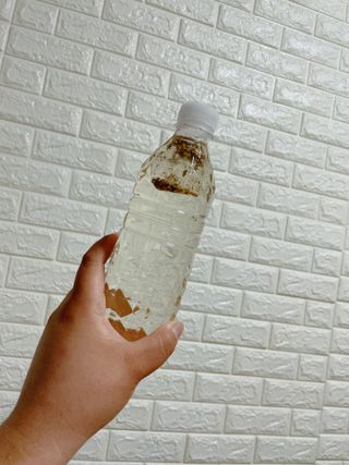 삐딱한펭귄님이 올린 리뷰 사진 3