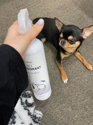 정열매님이 올린 리뷰 사진 2