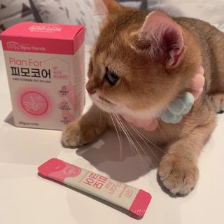 백설님이 올린 리뷰 사진 1