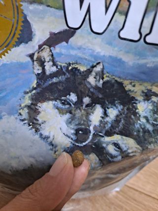 글라라님이 올린 리뷰 사진 2