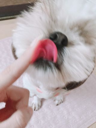 박하님이 올린 리뷰 사진 3