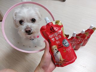 사라님이 올린 리뷰 사진 2